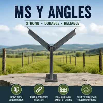 MS-Y-Angles
