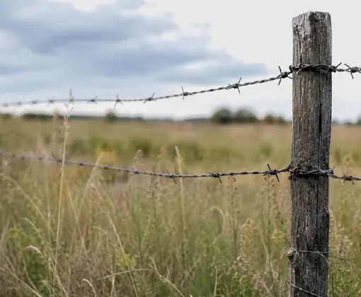 barbed-wire