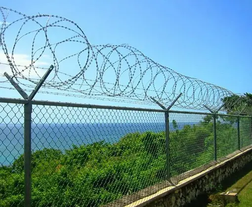 Concertina Wire