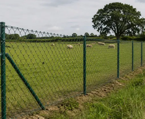 Plastic Coated Chain Link